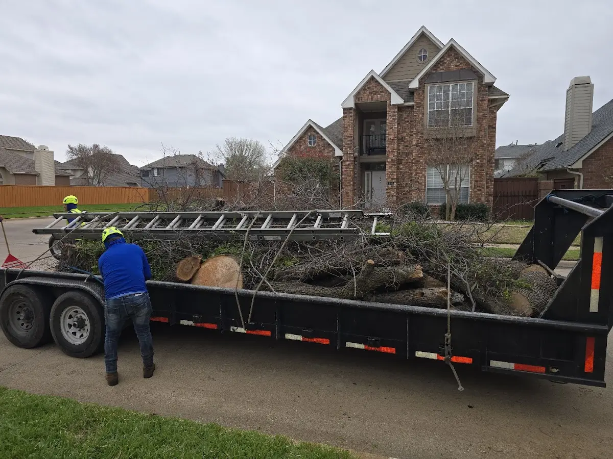 Expert Crown Reduction with proper safety equipment in Houghton Lake Heights